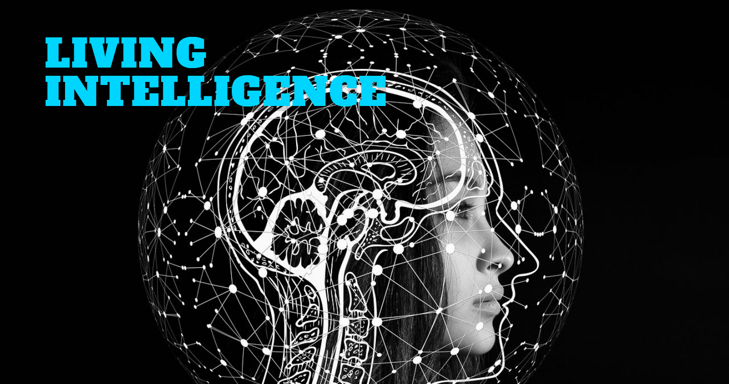 ChatGPT vs. Human Creativity: Can AI Really Be Creative?